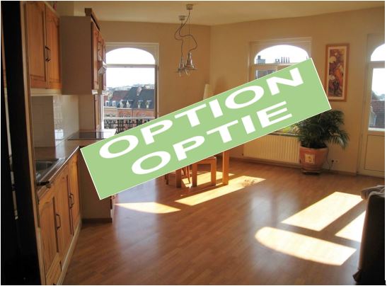 1 bedroom apartment 5 minutes from Place Flagey.