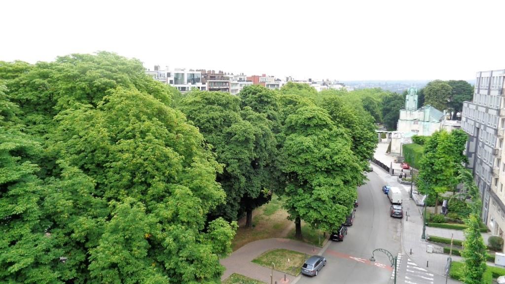 2 bedroom apartment on the top floor Montgomery area